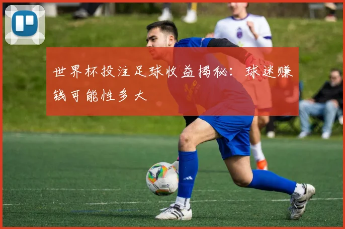 世界杯投注足球收益揭秘：球迷赚钱可能性多大