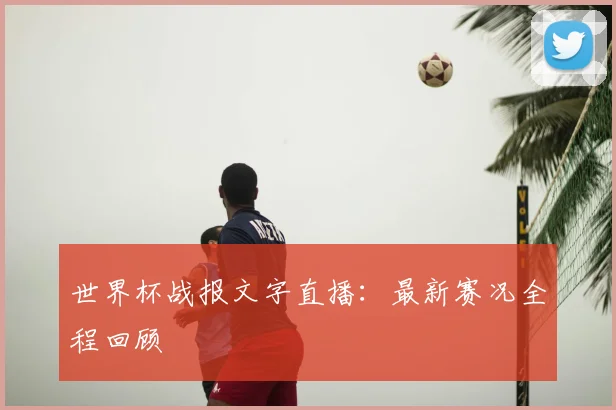 世界杯战报文字直播：最新赛况全程回顾