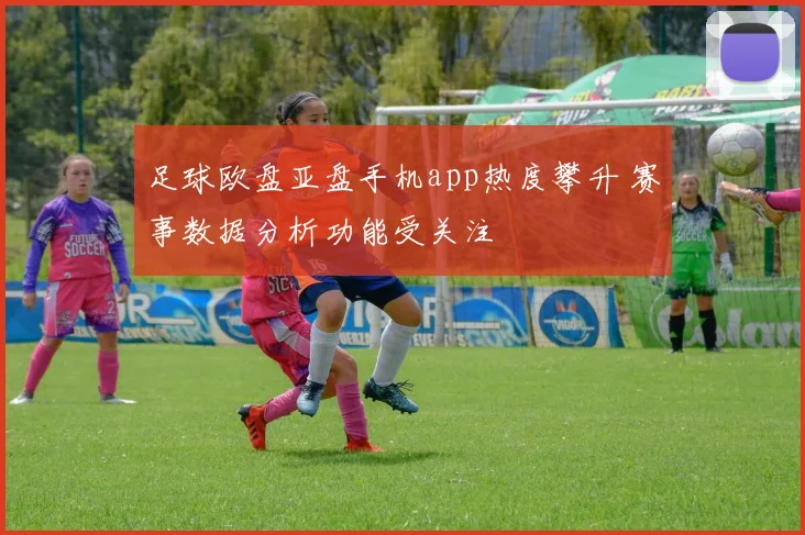 足球欧盘亚盘手机app热度攀升 赛事数据分析功能受关注