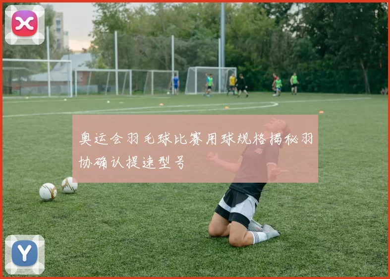 奥运会羽毛球比赛用球规格揭秘羽协确认提速型号