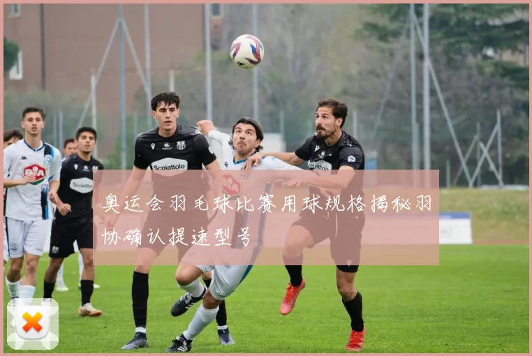 奥运会羽毛球比赛用球规格揭秘羽协确认提速型号