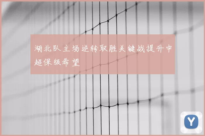 湖北队主场逆转取胜关键战提升中超保级希望