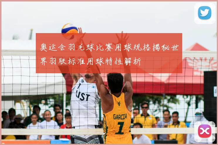 奥运会羽毛球比赛用球规格揭秘世界羽联标准用球特性解析