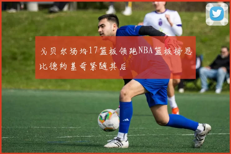 戈贝尔场均17篮板领跑NBA篮板榜恩比德约基奇紧随其后